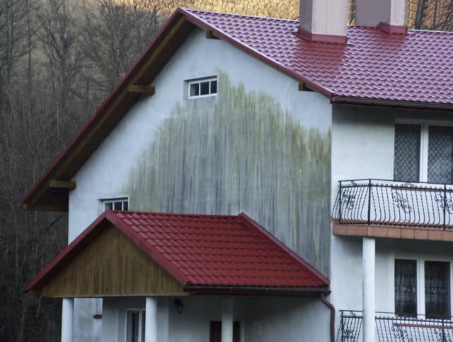 Skuteczne metody na zmycie glonów z elewacji bez trudu Skuteczne metody na zmycie glonów z elewacji bez trudu