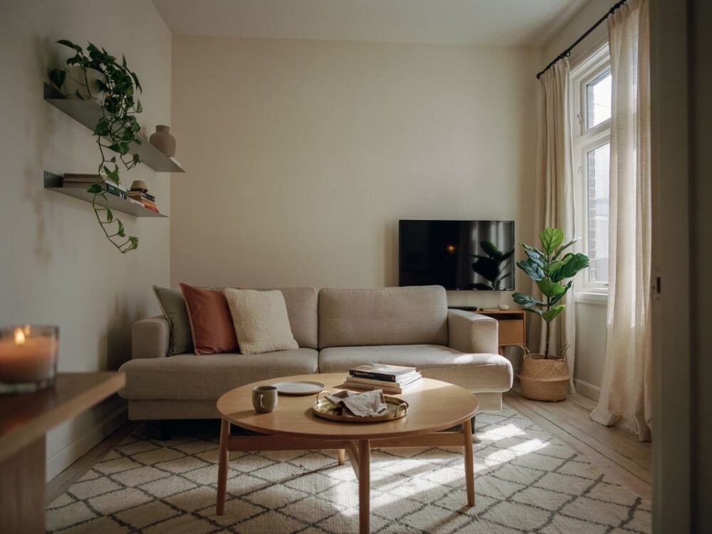 mały salon z minimalistycznym wnętrzem